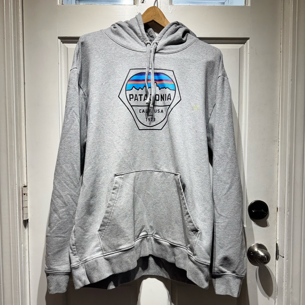 PATAGONIA Gray Hoodie with Multicolor Mountain Badge